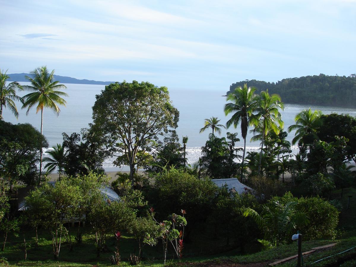 Mapara Crab Lodge Bahia Solano Extérieur photo