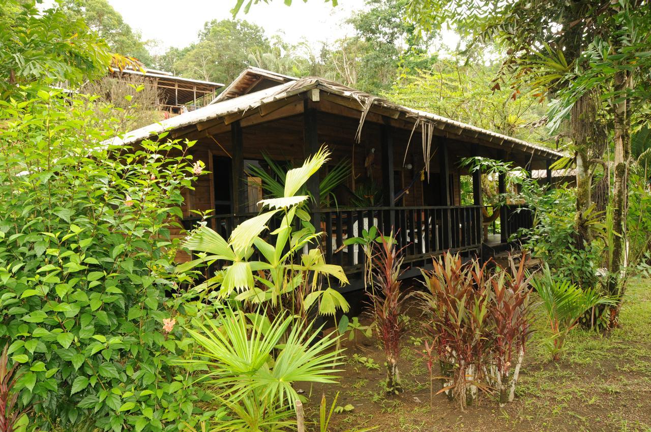 Mapara Crab Lodge Bahia Solano Extérieur photo