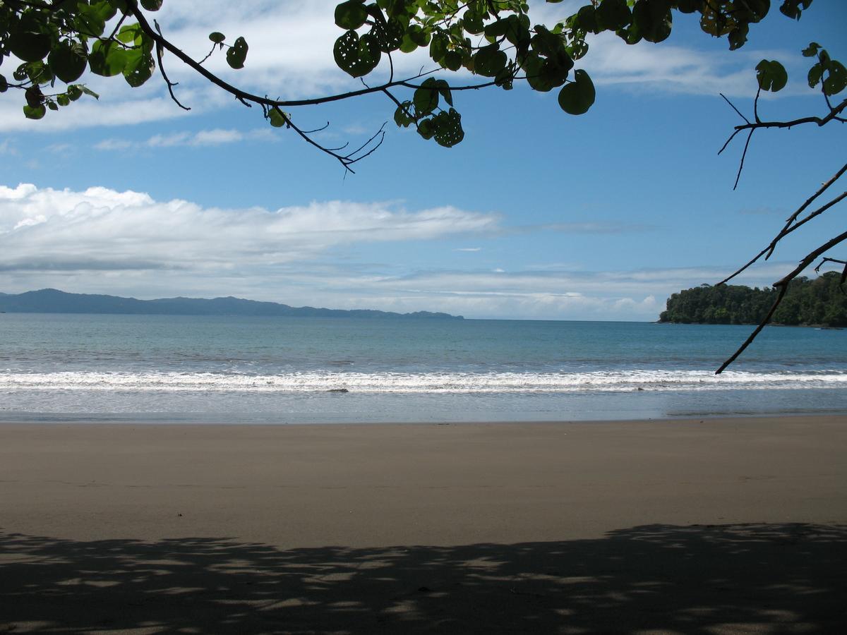 Mapara Crab Lodge Bahia Solano Extérieur photo